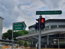 Mayflower Shopping & Food Centre (D20), Shop House #491403761